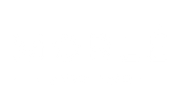 Morlé Collection